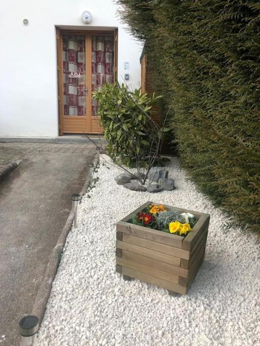 Appartement Rez De Jardin Montée De L'alpe D'huez *
